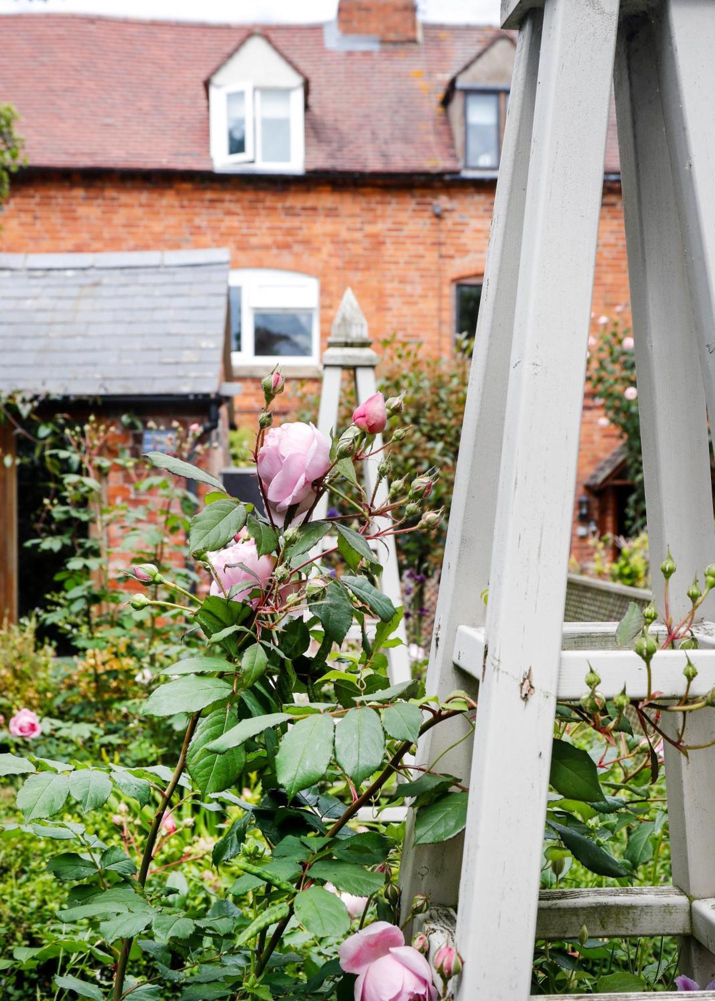 Romantic Cotswold Cottage- Dog Friendly And Village Location Mickleton  Exterior photo